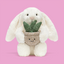 Jellycat Cream Bunny with Plant